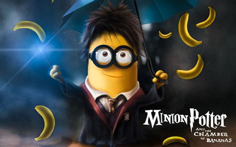 William everett potter was an american engineer and military officer who served as governor of the panama canal zone from 1956 to 1960. Minion Potter