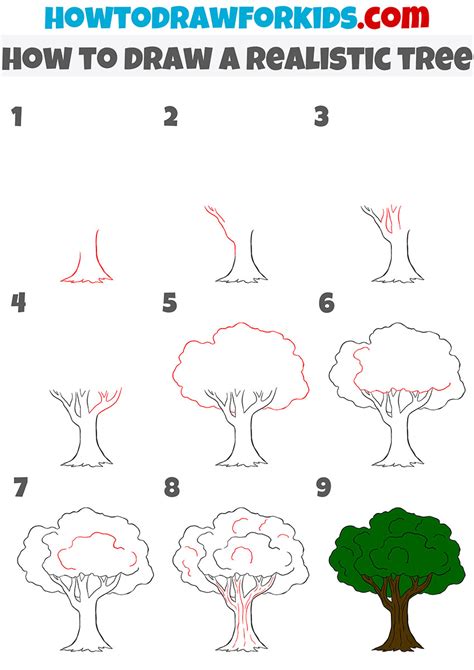 How To Draw A Realistic Tree Easy Drawing Tutorial For Kids