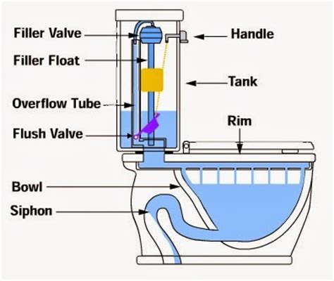 ¿ Cómo funciona un Váter, inodoro o sanitario ? - QUE GUAPO TIO