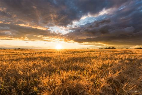 Landscape Photography Of Wheat Field Under Gray Columbus Clouds During