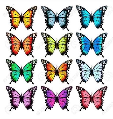 Mariposas Para Imprimir Colorful Butterflies Butterflies Vector Butterfly Drawing