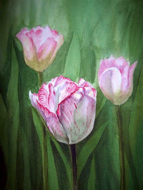 Irina Sztukowski Fine Art Tulips In The Fog Tulip Painting