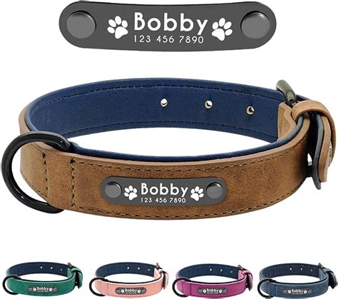 Didog Soft Leather Padded Custom Dog Collar With Personalized Nameplate