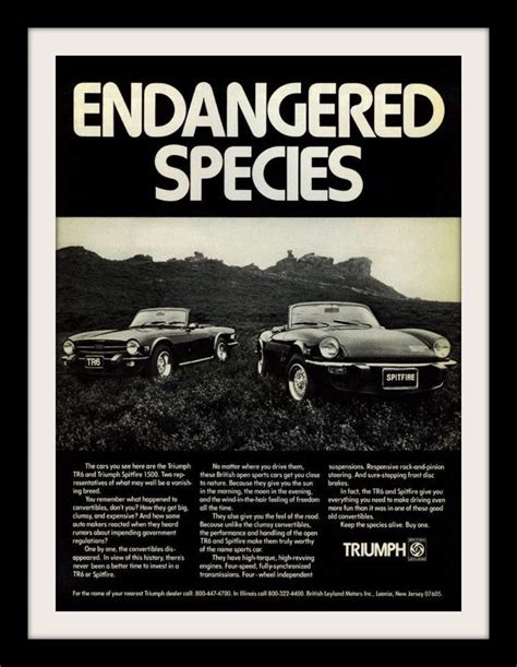 A 1975 Advertisement Featuring The Triumph Tr6 And Spitfire 1500