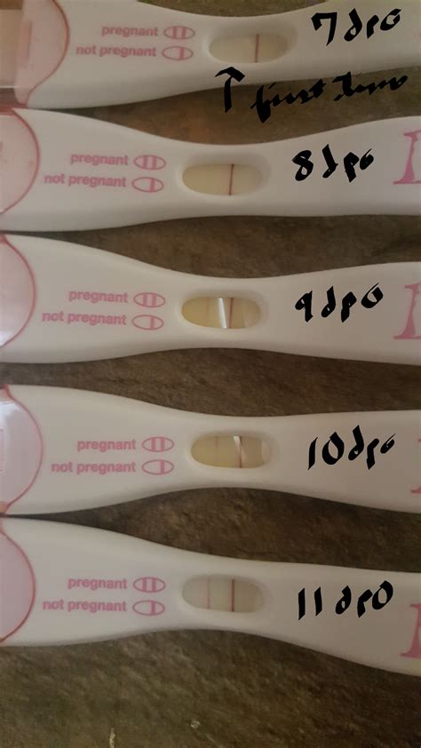 Dpo Pregnancy Test Chart