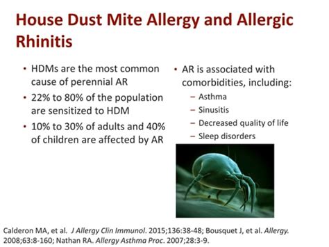 The Future Of House Dust Mite Allergy How Will You Care For Your