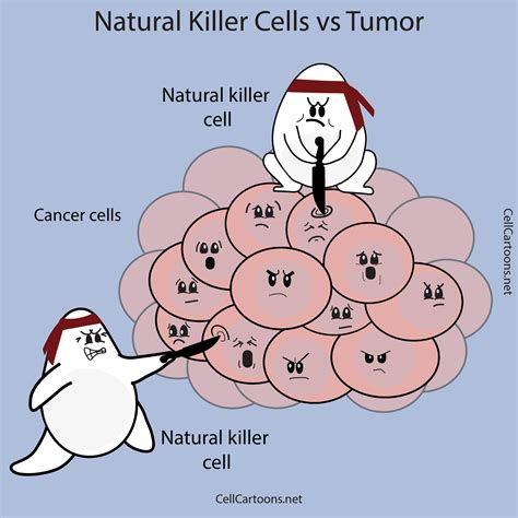 Tumor Immunology Poster Ubicaciondepersonascdmxgobmx