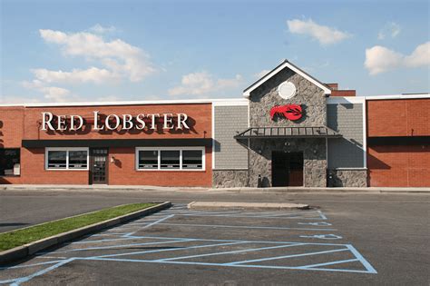 Things to do near channelside bay plaza. Red Lobster - EW Howell