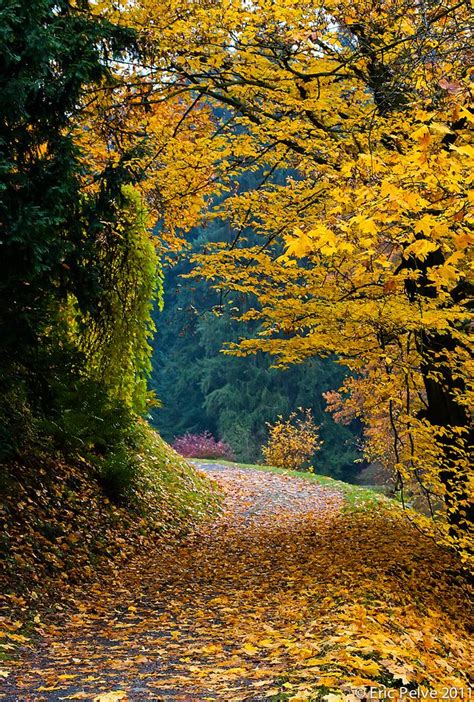 Autumn Peace By Episa On Flickr This Lovely Autumn Photo Was Taken