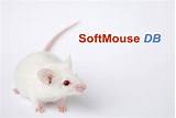 Mouse Colony Management Software Free Images