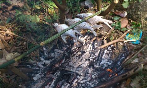 Unggun api perlu menggunakan kayu api yang dikhaskan, iaitu kayu malam dan kayu langsat. Ketahui Pantang Larang Memancing Di Hutan - Umpan