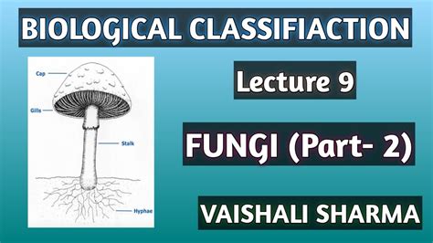 BIOLOGICAL CLASSIFICATION Lecture FUNGI Part YouTube