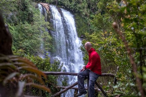 Pumalin Park Tour Patagonia Tours South America Travel Specialists