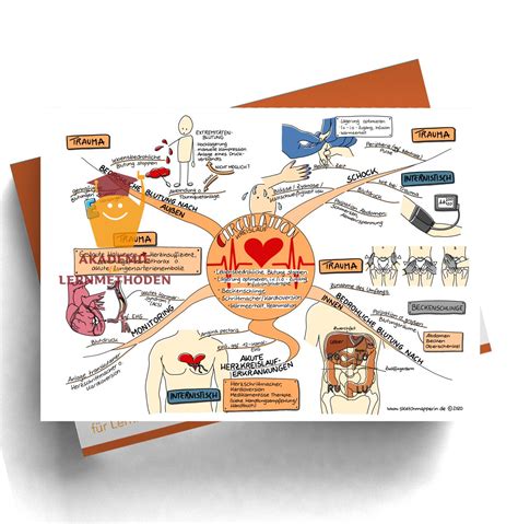 Bezieht sich auf mögliche gefahren. Mindmaps zur Notfalluntersuchung nach ABCDE-Schema