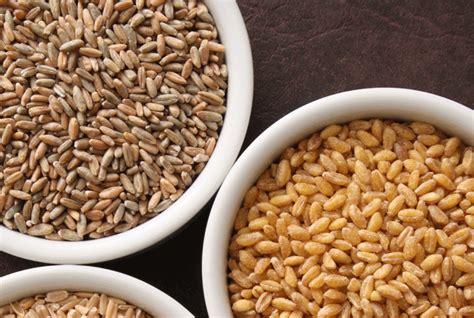 11 Common Types Of Grains Worth Knowing Cooking Whole Grain Food