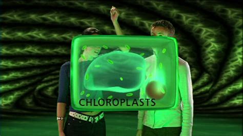 The effects of osmosis on animal and plant cells plant cells. BBC Two - KS4 Curriculum Bites, Science 14-16, Components ...