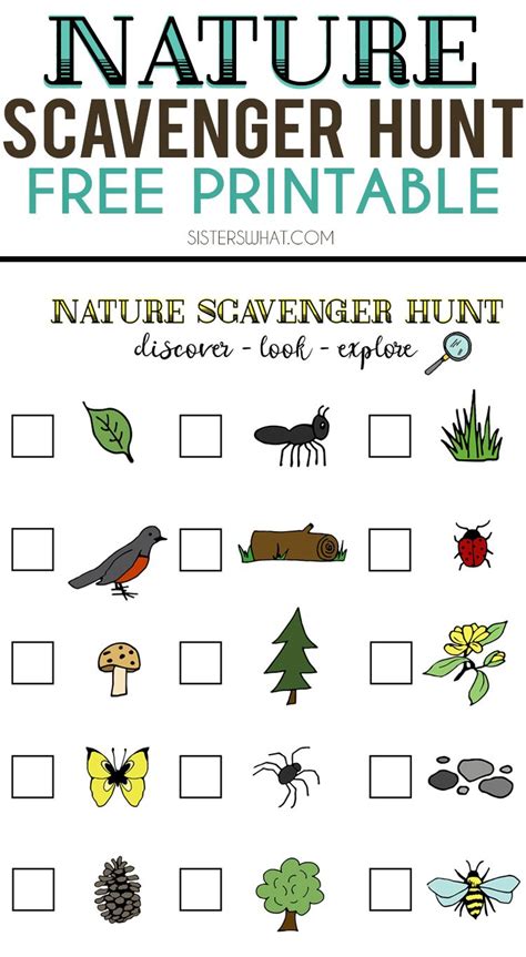 My friend stephanie took home the dog that escaped its backyard and desperately wanted to join us for the rest of the treasure hunt. Nature Scavenger Hunt and Summer Adventures | Nature ...