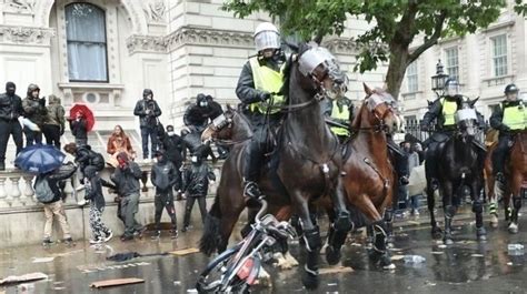 Petition · Ban The Use Of Horses As Crowd Control In The Police Force