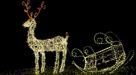 Animated Christmas Lights