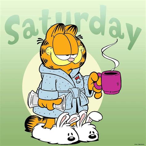Saturdays Are Meant For Rest And Relaxation Garfield Cartoon Garfield