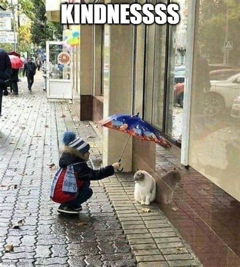 Kindness Imgflip