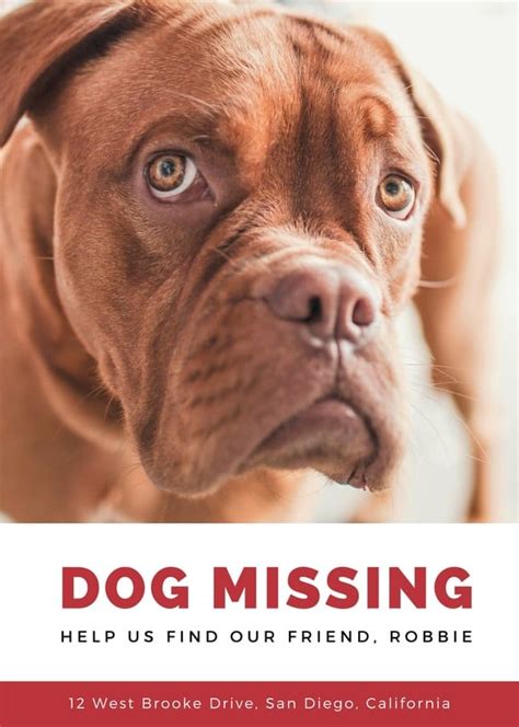 Free Printable Customizable Lost Dog Flyer Templates Canva