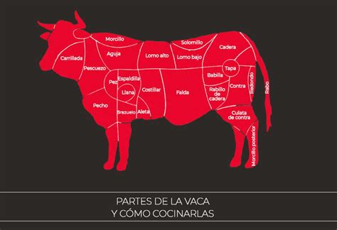 Doña Vaca Partes De La Vaca Y Cómo Cocinarlas