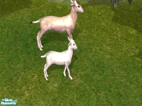 The Sims Resource Baby Goat