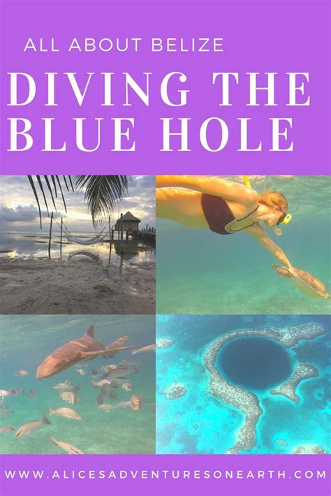 Ambergris Caye Diving Belizes Great Blue Hole Central America