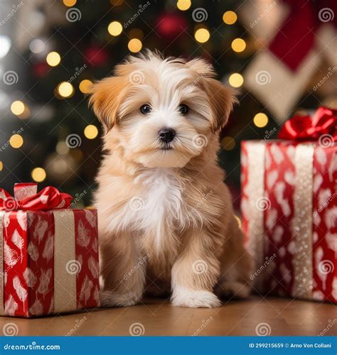 Furry Festivities: Little Pup Admiring Christmas Gifts by Twinkling