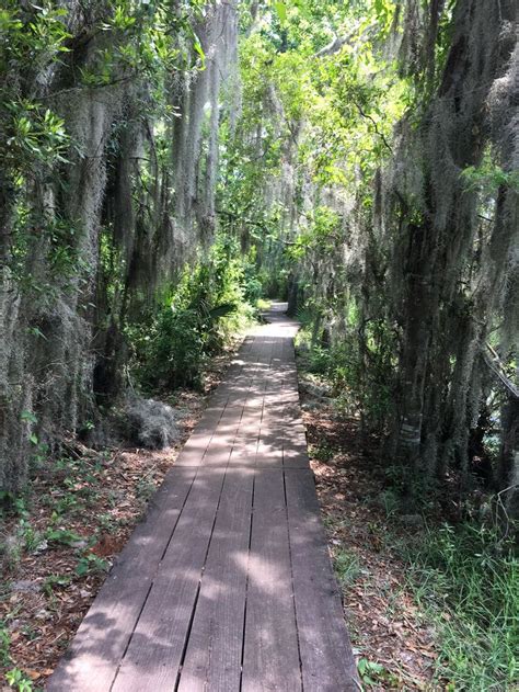 The Trials In Jean Lafitte National Parks Barataria Preserve Are Lines