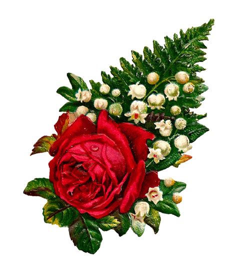 Antique Images Free Digital Flower Red Rose Clip Art With Lily Of The