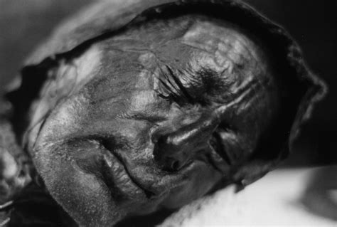 Bog Bodies National Geographic Society