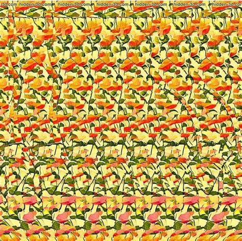 Pin By Cecylia Subda On 3 D Magic Eye Posters Magic Eye Pictures