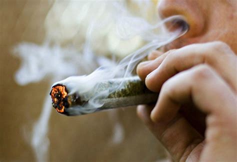 Vive Sana Con Solo Una Semana De Abstinencia De Fumar Marihuana Mejora La Memoria
