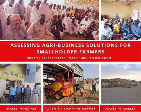 impact investing in the sudanese agribusiness earn save invest for financial freedom