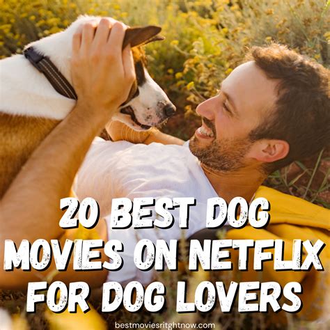 20 Best Dog Movies On Netflix For Dog Lovers Best Movies Right Now