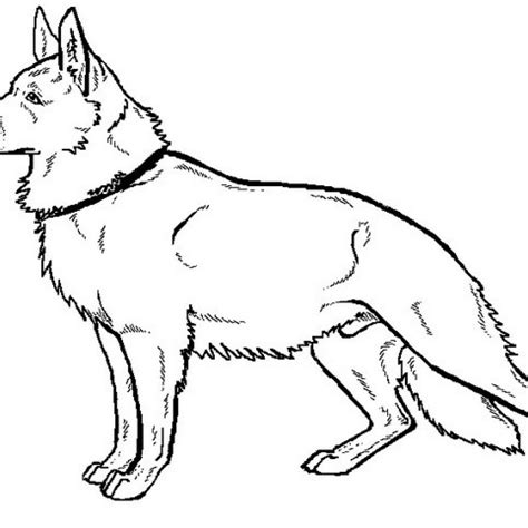 Find high quality german shepherd coloring page, all coloring page images can be downloaded for free for personal use only. German Shepherd Coloring Pages at GetDrawings | Free download