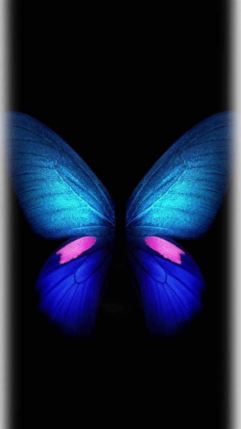 334 Wallpaper For Samsung Butterfly For Free Myweb