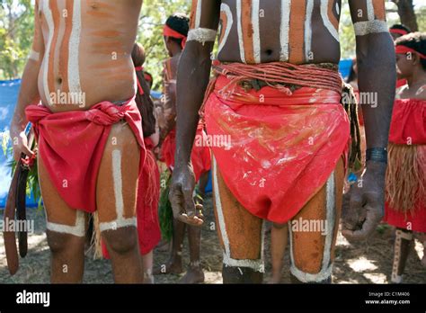 Aboriginal Dancers Decorated With Ochre Body Paint Laura Queensland