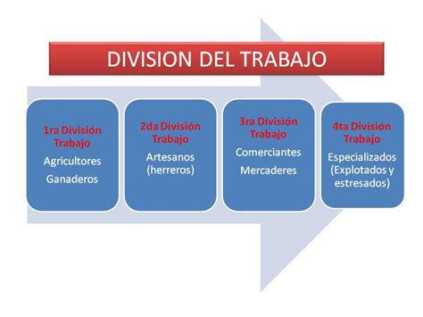 Division Del Trabajo Esquema No3