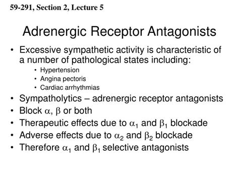 Ppt Adrenergic Receptor Antagonists Powerpoint Presentation Free