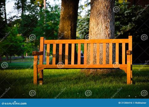 Park Bench Highlight By Late Afternoon Sun Stock Photo Image Of