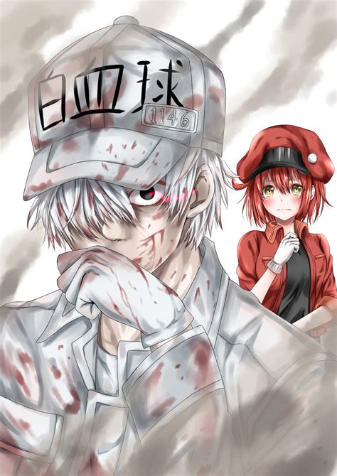 Hataraku Saibou Cells At Work Image 2419233 Zerochan Anime Image