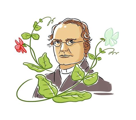 Twitter Gregor Mendel Art Biology Art Cute Drawings