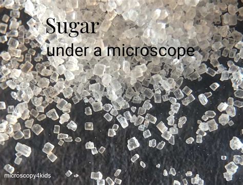 How To Observe Sugar Under A Microscope Sugar And Artificial Sweetener