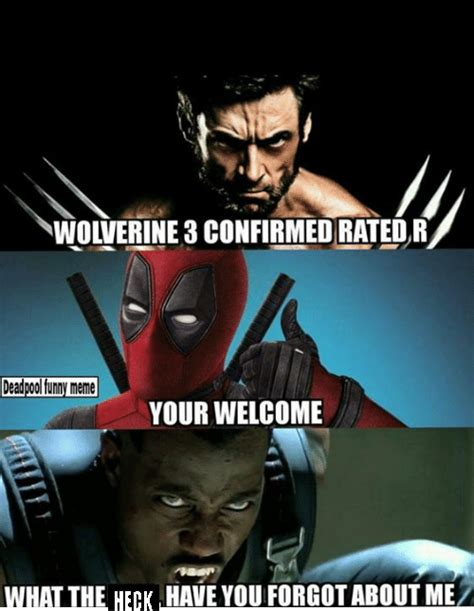 25 Hilarious Deadpool Vs Wolverine Memes Only True Fans Will Understand