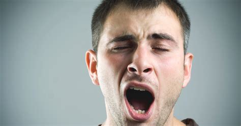 Study Suggests Yawning May Be Linked To Brain Cooling