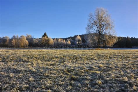 A Winter Morning With A Beautiful Sunrise Stock Image Image Of