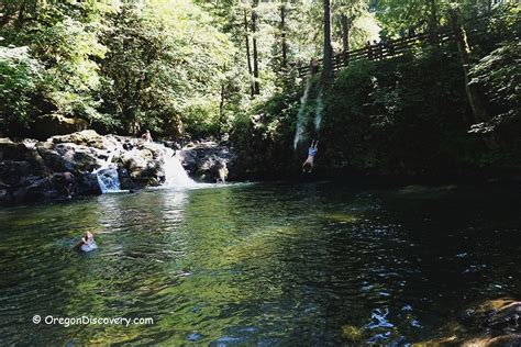 Cavitt Creek Falls Recreation Site Umpqua National Forest Oregon